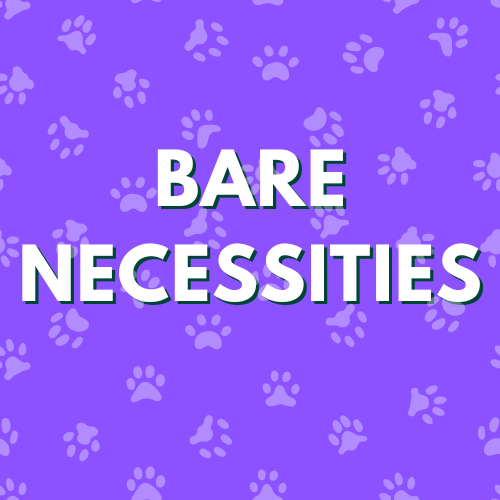 Bare Necessities Youth Series